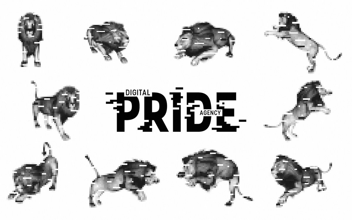 互聯(lián)網(wǎng)營銷企業(yè)Pride品牌形象設(shè)計(jì)
