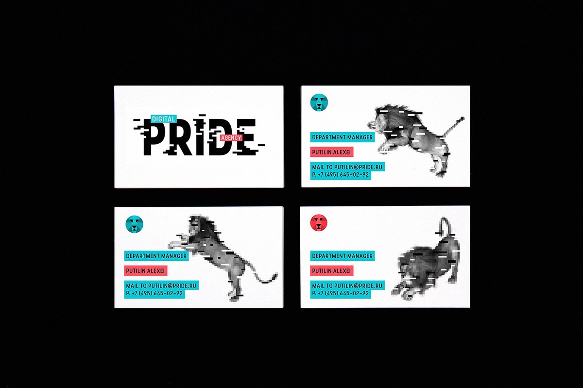 互聯(lián)網(wǎng)營銷企業(yè)Pride品牌形象設(shè)計(jì)