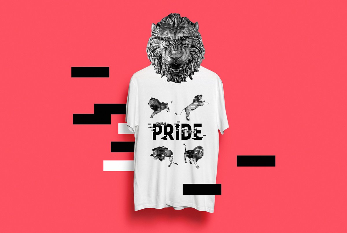 互聯(lián)網(wǎng)營銷企業(yè)Pride品牌形象設(shè)計(jì)